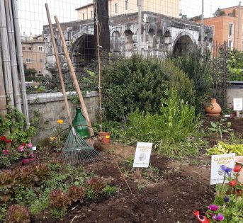 Siccità, da pasta a paglia i segreti salva orto