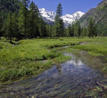 CAMPAGNA INFORMATIVA BIOMETANO