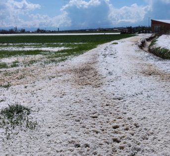 Maltempo, grandine devasta orti e frutteti