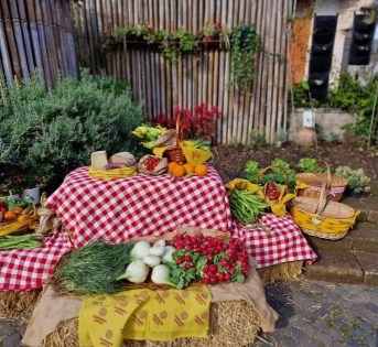 Pic nic contadino nei mercati e agriturismi di Campagna Amica