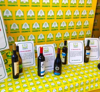 Vinitaly 2022: da annacquato a frutta. Le sorprese in bottiglia