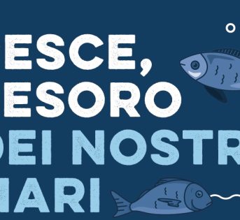 Pesce, tesoro dei nostri mari
