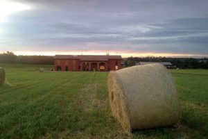img_thumb