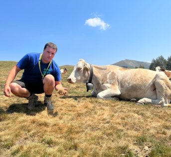 Siccità, alpeggi senza acqua e fieno. Sos animali