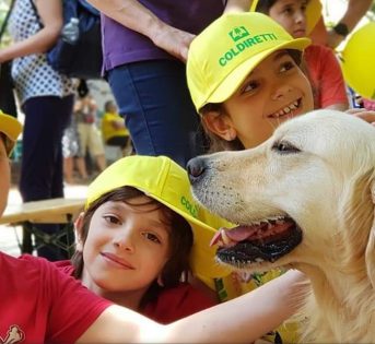 Giornata cane, 8,5 milioni di italiani in vacanza con “fido”