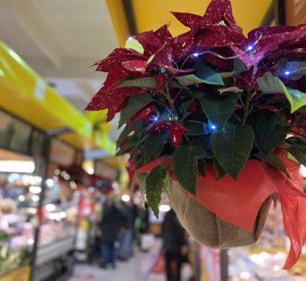 Mercati romani, la spesa di Natale si fa dal contadino