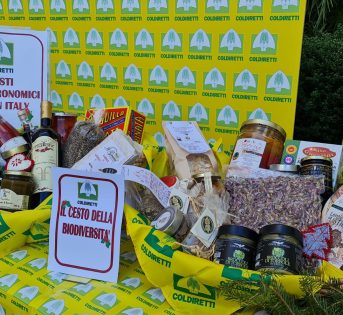 Natale, cesti tipici enogastronomici sotto l’albero