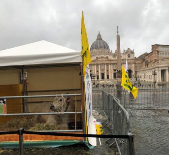 S. Antonio, 1 stalla su 10 in situazione critica. Sos costi