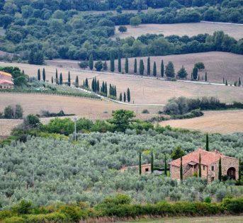 Toscana, dove l’agricoltura e il paesaggio sono opere d’arte