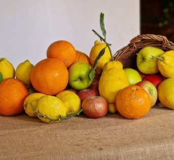 Al Mido i cibi della vista e del benessere