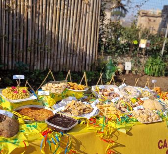 Carnevale 2023, ecco i dolci tipici regionali