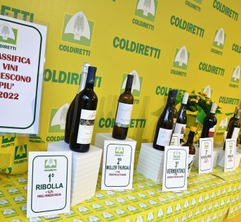 Vinitaly 2023, da Ribolla a Cirò. Ecco i vini sovranisti