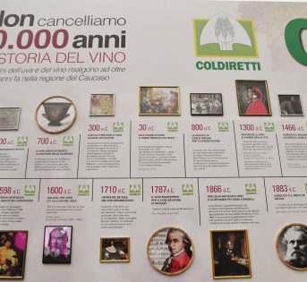Vinitaly 2023, diecimila anni di storia del vino