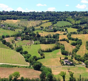 Giornata ambiente, in Italia l’agricoltura più green d’Europa