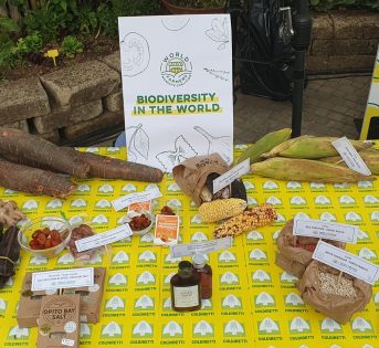 Food System Summit: da perilla a maca, a Roma i cibi del mondo da salvare