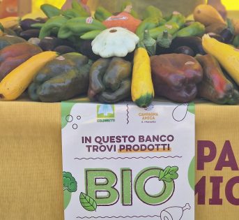 Giornata biologico, Italia leader Ue con 82mila aziende