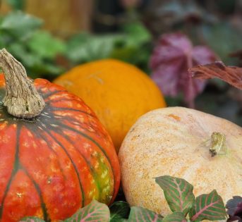 Mercati di Roma, la vera spesa contadina