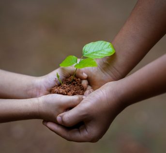 Piano Mattei, 40mila ettari coltivati per la crescita dell’Africa