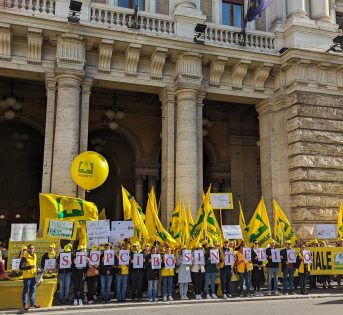 Cibi artificiali, la Camera approva la legge