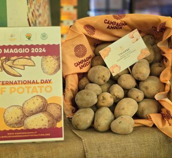 Giornata Internazionale Patata, si festeggia al mercato