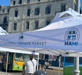 Alessandria d’Egitto, apre il primo mercato contadino