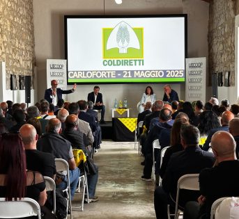 PESCA: COLDIRETTI, NASCE “FIRMATO DAI PESCATORI ITALIANI”, NUOVO MODELLO DI FILIERA PER VALORIZZARE PESCATO NAZIONALE