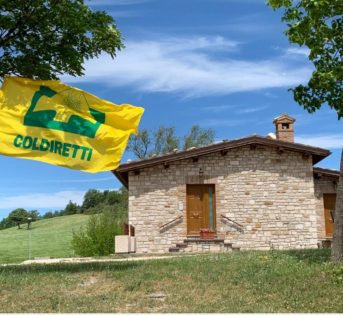 2 GIUGNO: COLDIRETTI/CAMPAGNA AMICA, MEZZO MLN IN AGRITURISMO, VINCONO CIBO ED ESPERIENZE 