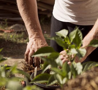 COLDIRETTI, DETENUTI ED EX DETENUTI TRA CATEGORIE PIU’ PRESENTI IN PROGETTI DI AGRICOLTURA SOCIALE