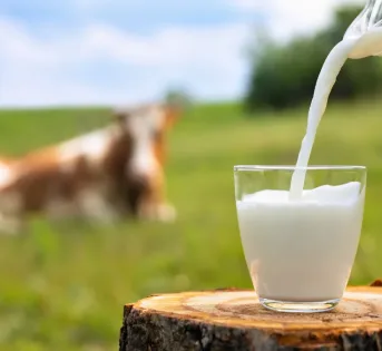 GIORNATA MONDIALE DEL LATTE: CELEBRIAMO UN PATRIMONIO CHE FA BENE A TUTTI