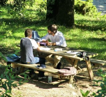 2 GIUGNO: COLDIRETTI, IN PARTENZA PER IL PONTE 1 ITALIANO SU 3