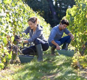 Caldo: bene protocollo tutela lavoratori