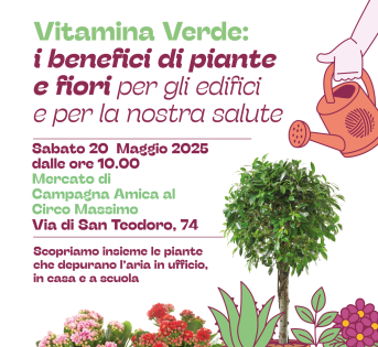 ARRIVANO LE PIANTE PER CURARE UFFICI E SCUOLE “MALATI”