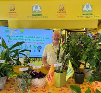 FELCI, ALOE E FICUS PER RESPIRARE MEGLIO IN CASE, SCUOLE E UFFICI