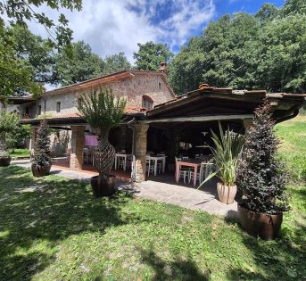 GIORNATA TURISMO: COLDIRETTI/CAMPAGNA AMICA, AGRITURISMO LEADER ECOVACANZE, IN 10 ANNI +70% ARRIVI