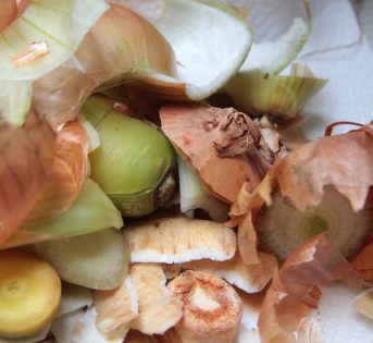 GIORNATA SPRECHI: COLDIRETTI, 1,7 MLD DI TONNELLATE DI CIBO NELLA SPAZZATURA