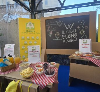 Salute: 8 italiani su 10 chiedono di vietare per legge i cibi ultra-formulati nelle mense scolastiche