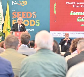 Alla FAO, il Presidente della WFMC Richard McCarthy rilancia il ruolo dei mercati contadini come motore di sostenibilità, giustizia sociale e innovazione nei sistemi alimentari globali.