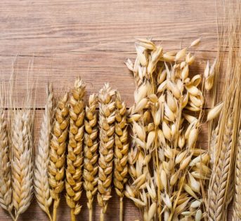 Giornata Mondiale della Pasta: nei grani antichi il sapore del tempo e delle tradizioni