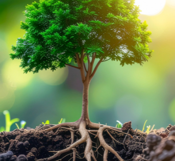 GIORNATA SUOLO:CEMENTIFICAZIONE FA SPARIRE 1,2 MILIARDI DI CIBO ALL’ANNO