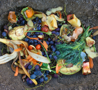 Troppo cibo nel cestino: il paradosso dello spreco nell’era della sostenibilità