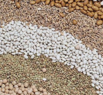 GIORNATA LEGUMI: COLDIRETTI, NEL PIATTO DI UN ITALIANO SU 2, SPESA SALE A 1,3 MLD