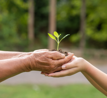 Al via il progetto “Crescere con gusto”: educazione alimentare e gite didattiche gratuite per le scuole dell’infanzia