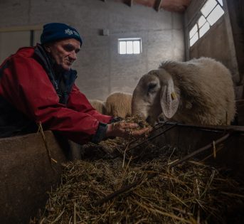 Agricoltura multifunzionale: 25 anni di sviluppo sostenibile e innovazione nelle campagne italiane