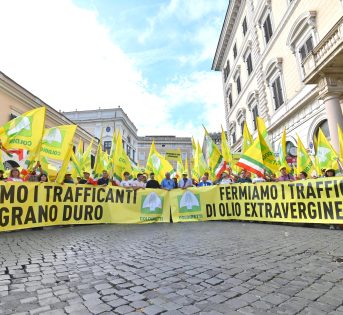 Coldiretti in piazza contro i trafficanti di olio e grano: migliaia di agricoltori mobilitati in tutta Italia