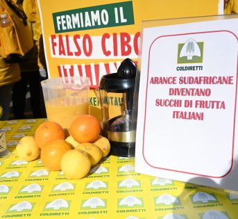 Giornata sicurezza alimentare, 128 allarmi in quattro mesi: più controlli e trasparenza sull’origine dei prodotti