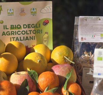 COLDIRETTI BIO, E’ RECORD IMPORTAZIONI DI BIOLOGICO STRANIERO (+26%), SUBITO ETICHETTA