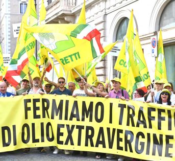 Olio: stop a miscelazione extravergine importante per fermare i trafficanti e tutelare la salute dei cittadini