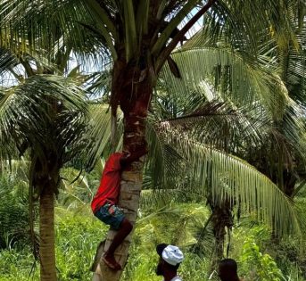 Missione del programma AREA Africa in Ghana: costruire il futuro dei mercati contadini e dei sistemi alimentari locali